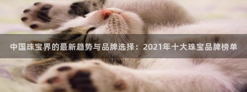 众腾娱乐公司简介：中国珠宝界的最新趋势与品牌选择：2021年