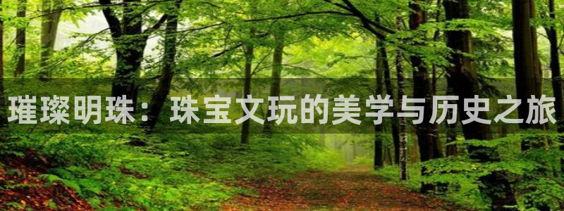 众腾娱乐平台官网入口：璀璨明珠：珠宝文玩的美学与历史之旅