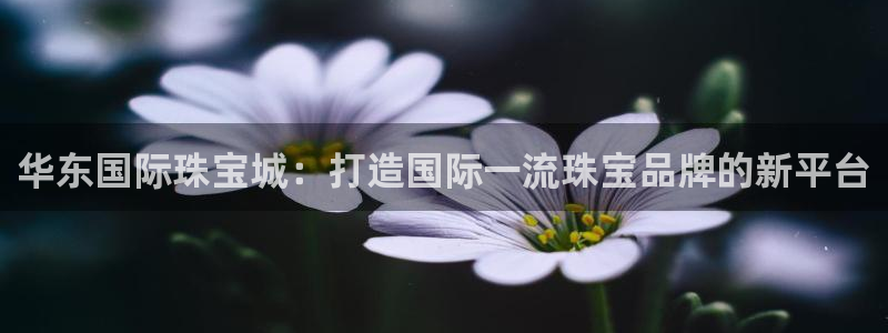 众腾娱乐平台官网入口：华东国际珠宝城：打造国际一流珠宝品牌的